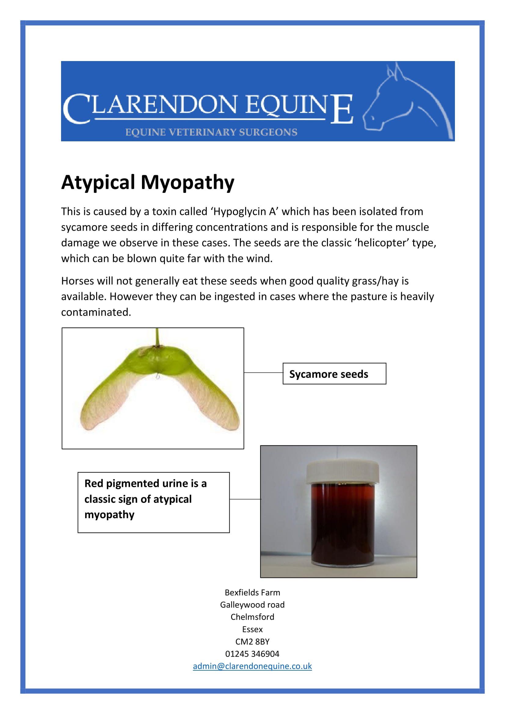 Atypical Myopathy Factsheet
