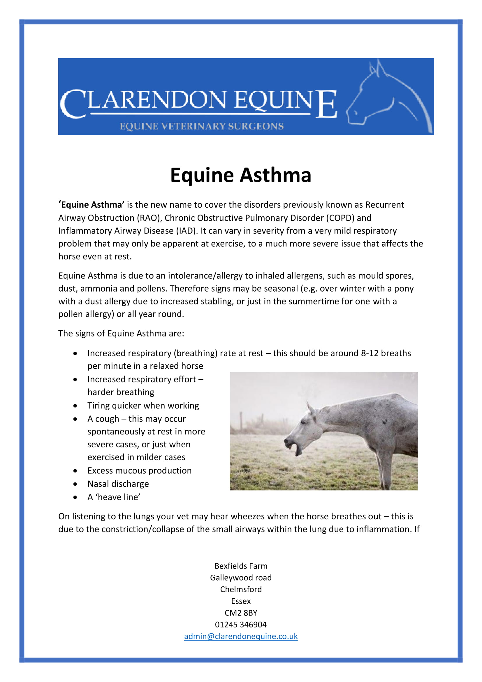 Equine Asthma