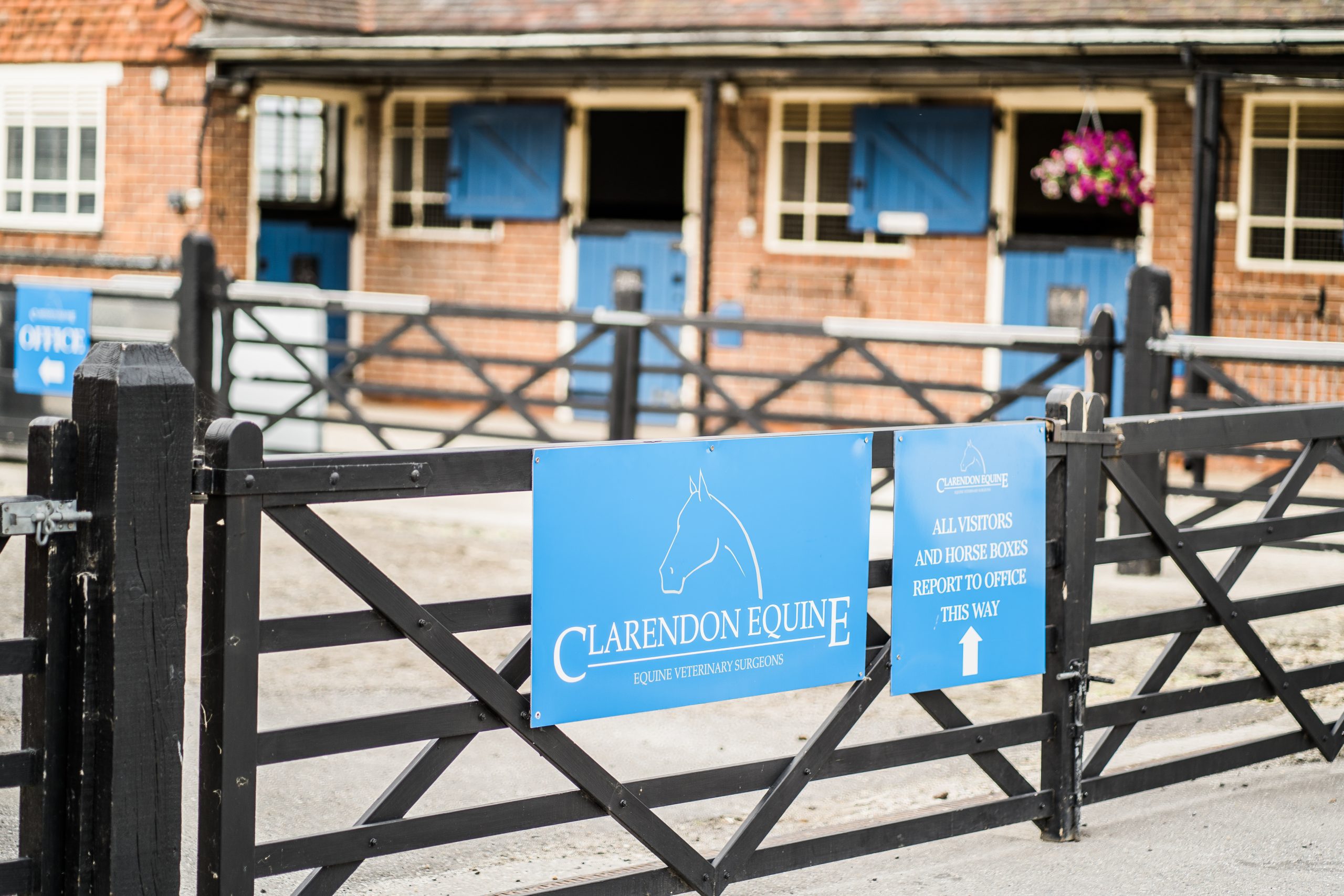 Veterinary Surgeons