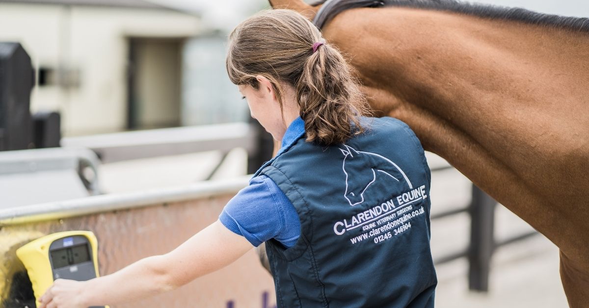 Clarendon Equine Veterinary Clinic