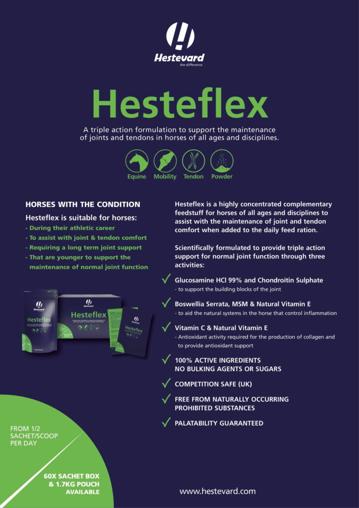 Hesteflex Explained
