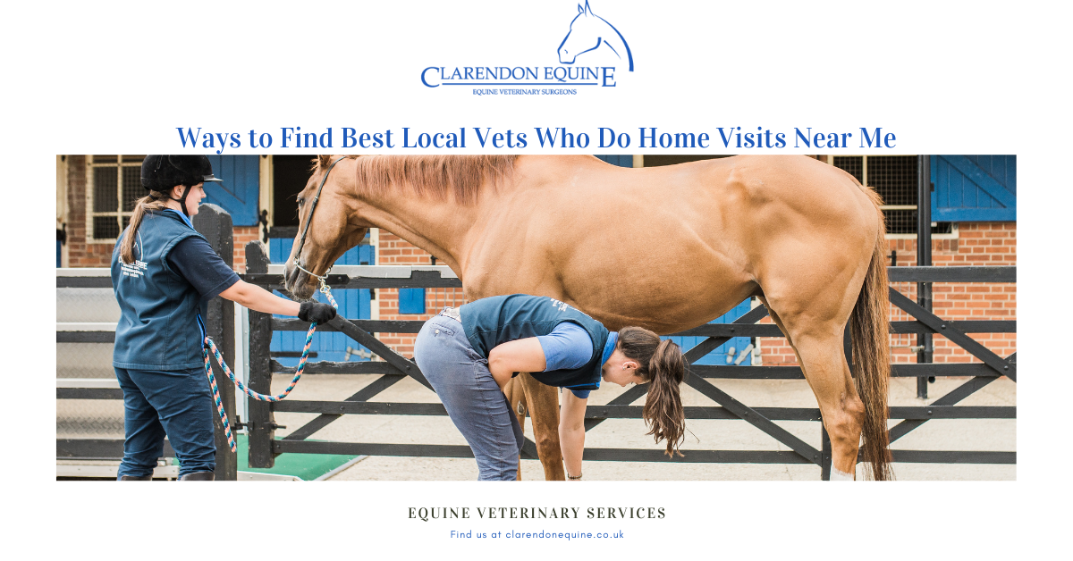 Ways to Find Best Local Vets Who Do Home Visits Near Me