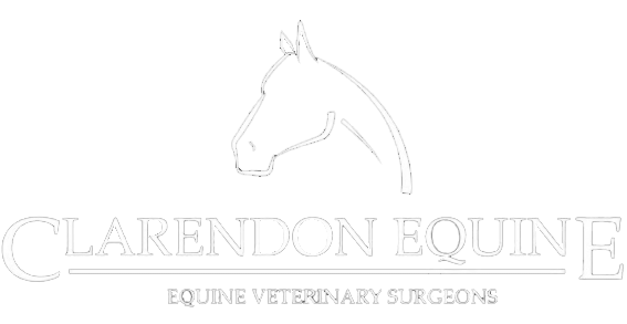 Clarendon Equine Veterinary Clinic