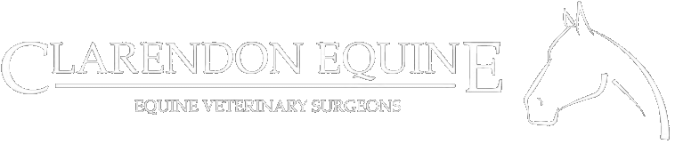 Clarendon Equine Veterinary Clinic