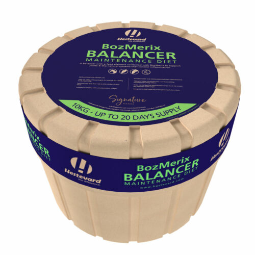BozMerix Balancer Maintenance Diet 10kg