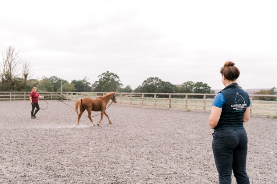Introducing our Equine Health Plans 